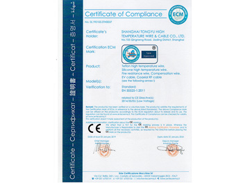 CE authentication